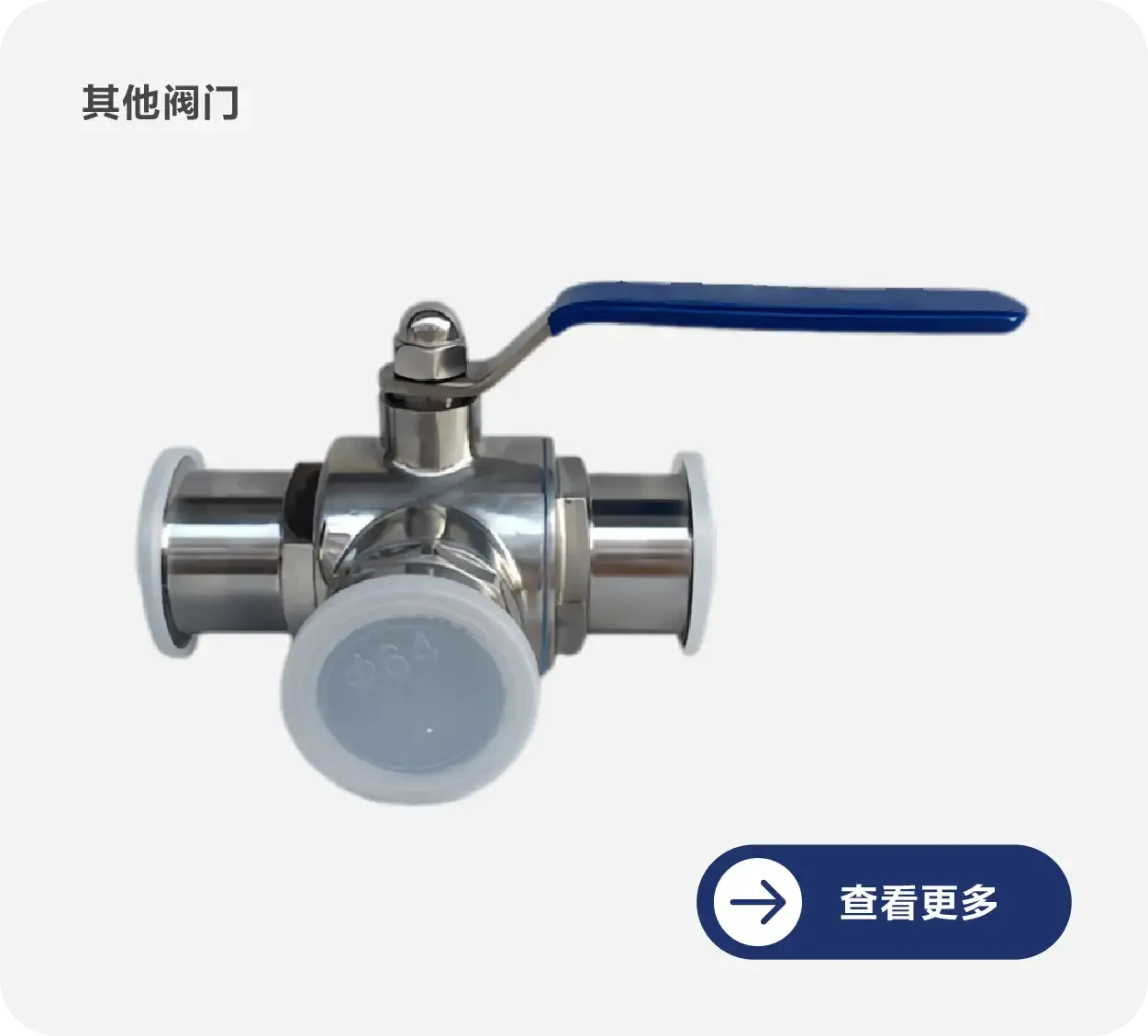 其他阀门